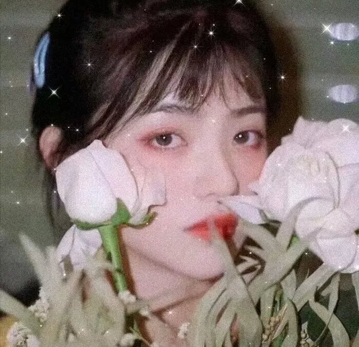 浪漫鼠德佩罗